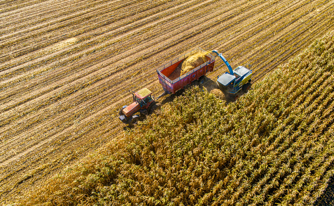 Partner Insight: Early maturity maize allows cover crop benefits 