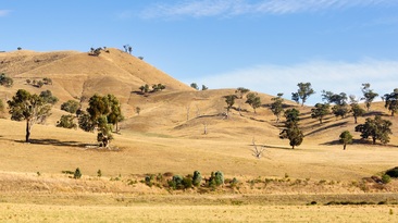 New resources are now available online via the Victorian Drought Hub.