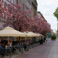POLAND-LODZ-CITY VIEW