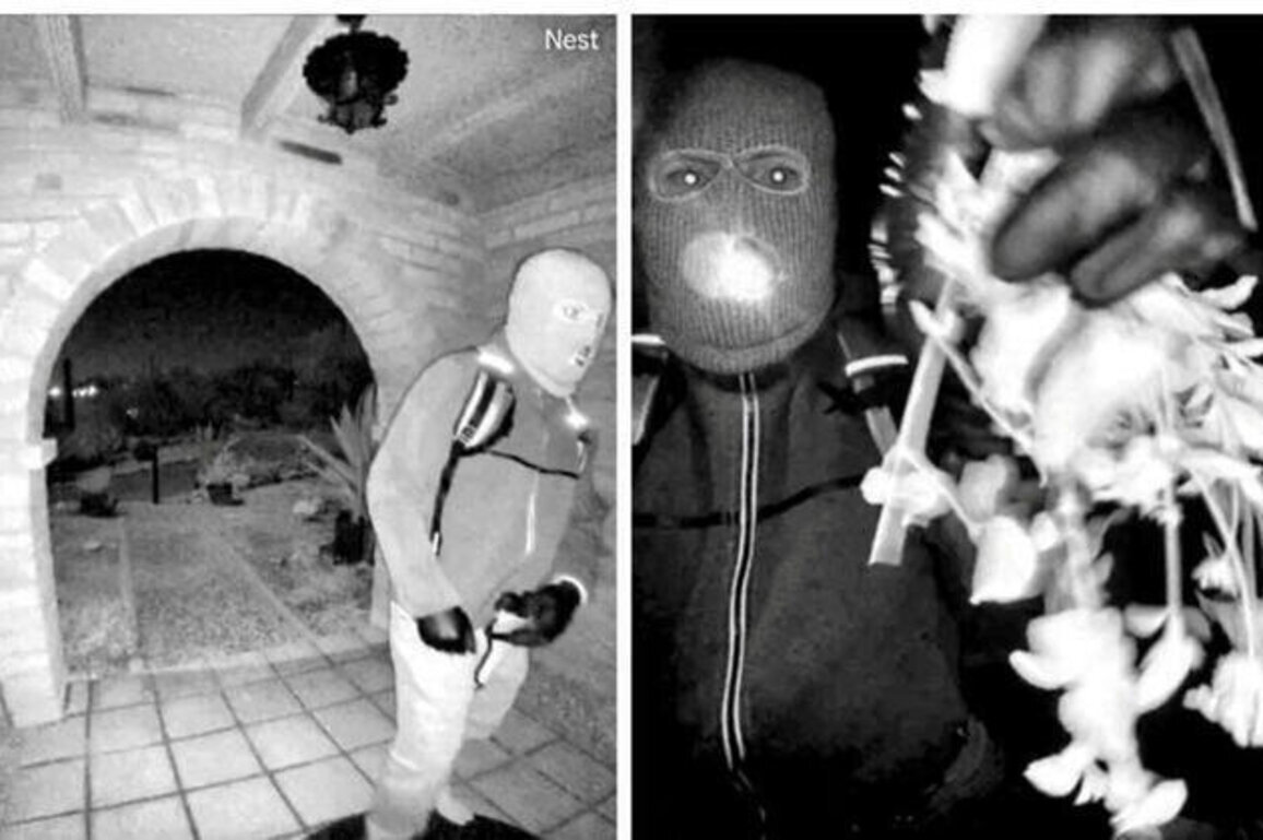 FBI says DNA from glove may link suspect to Nancy Guthrie abduction