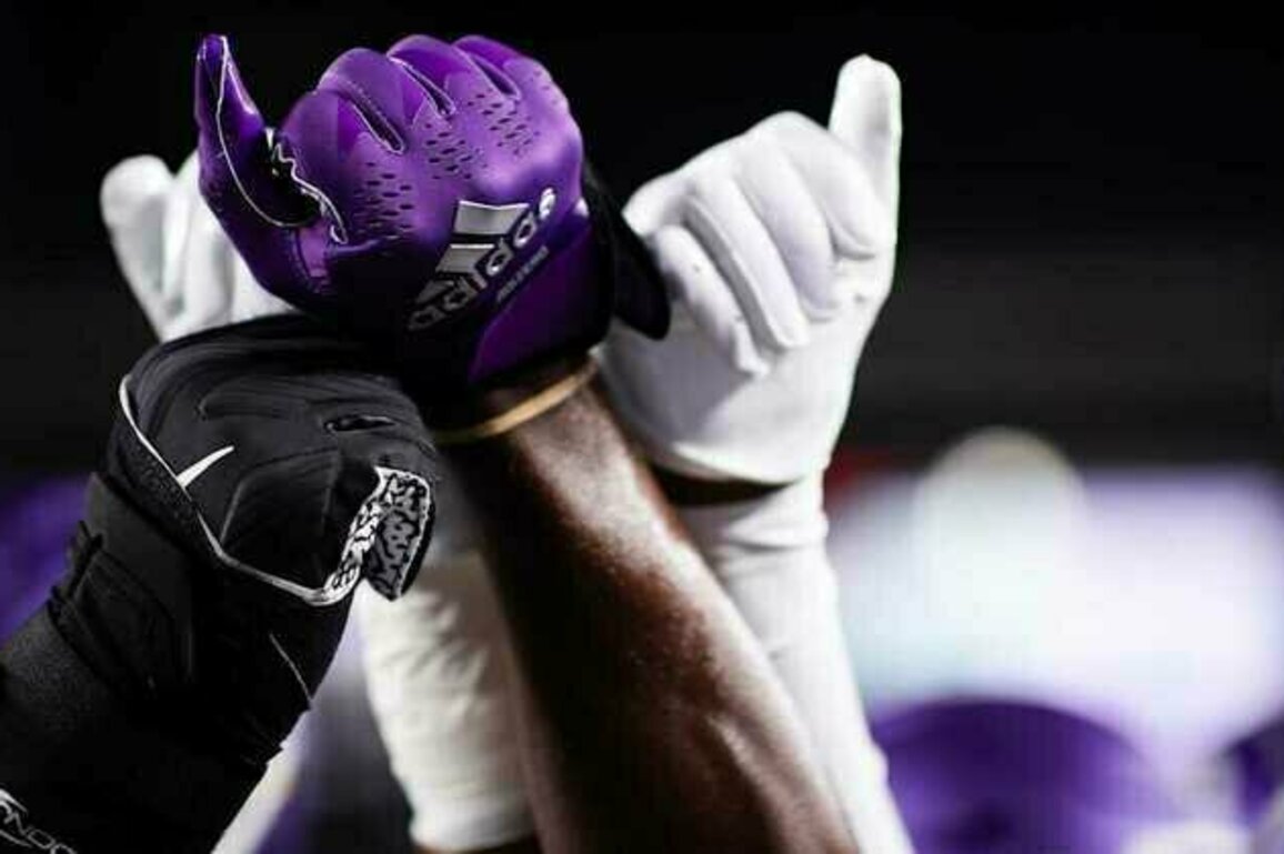 Vikings Agree to Terms with 19 Undrafted Free Agents
