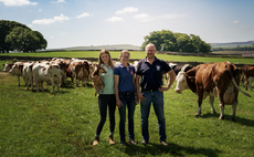 Proving profitable without funding – the mixed livestock farm spreading risk across enterprises in the Peak District