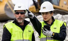 Cat AI Assistant: some kind of co-pilot?