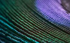 Partner Insight: Paris Agreement - A reflection on net zero 10 years on