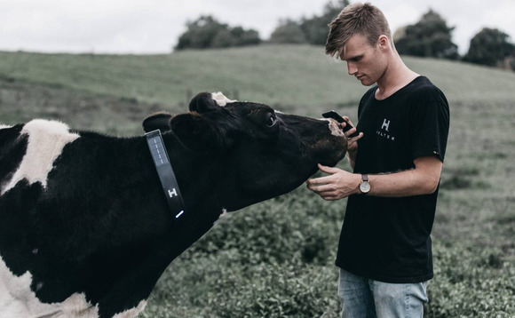 Deal focus: Cattle herding enters the app age