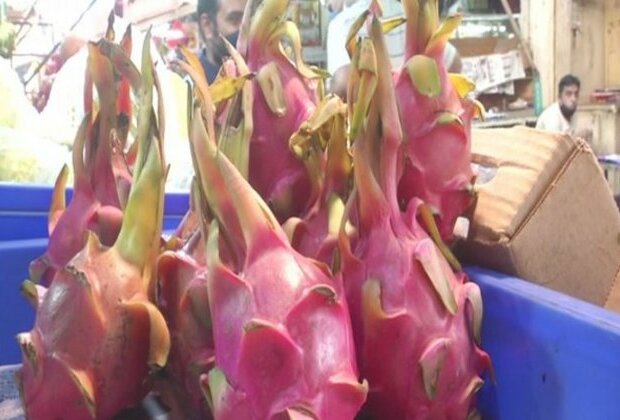 Fruit Traders on Dragon Fruit name changed to Kamalam