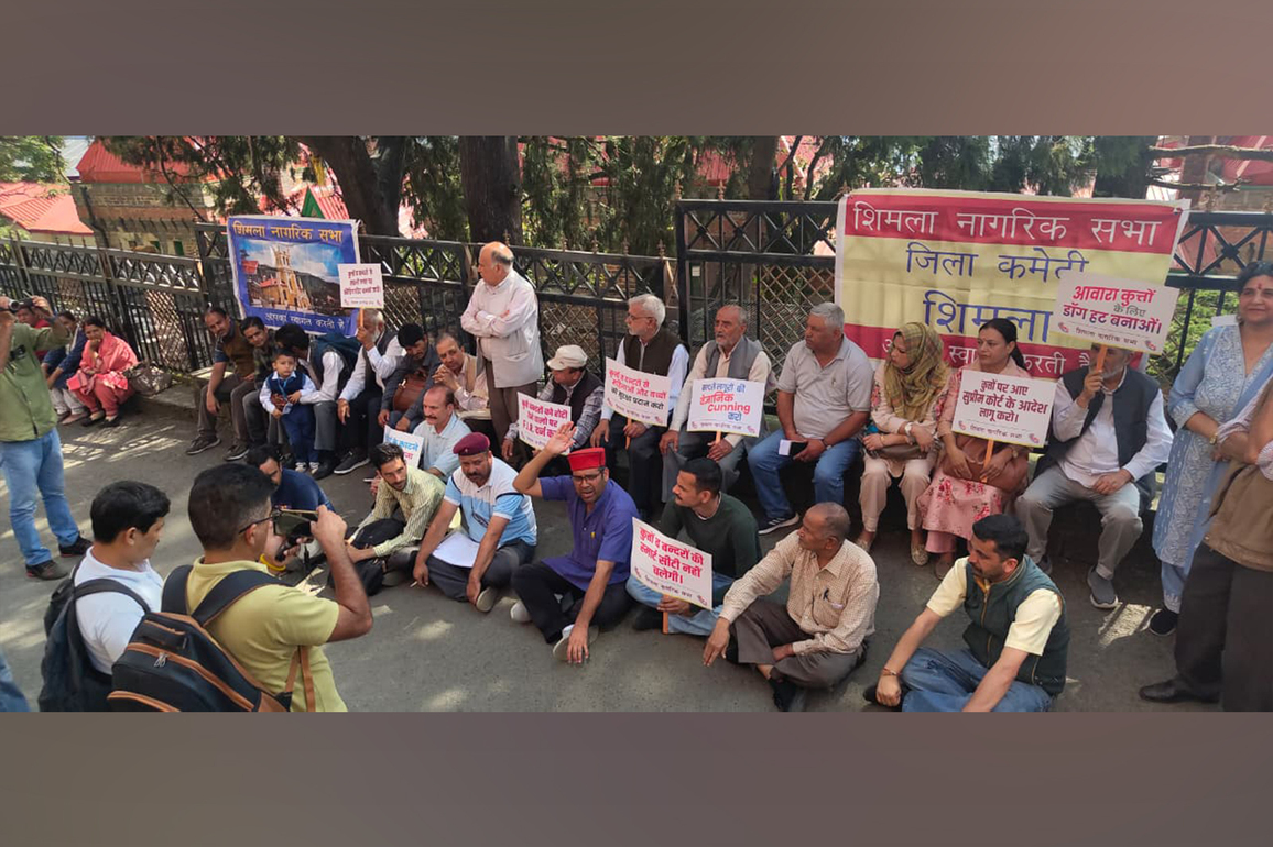 Citizens protest in Shimla demanding action on growing stray dog and monkey menace