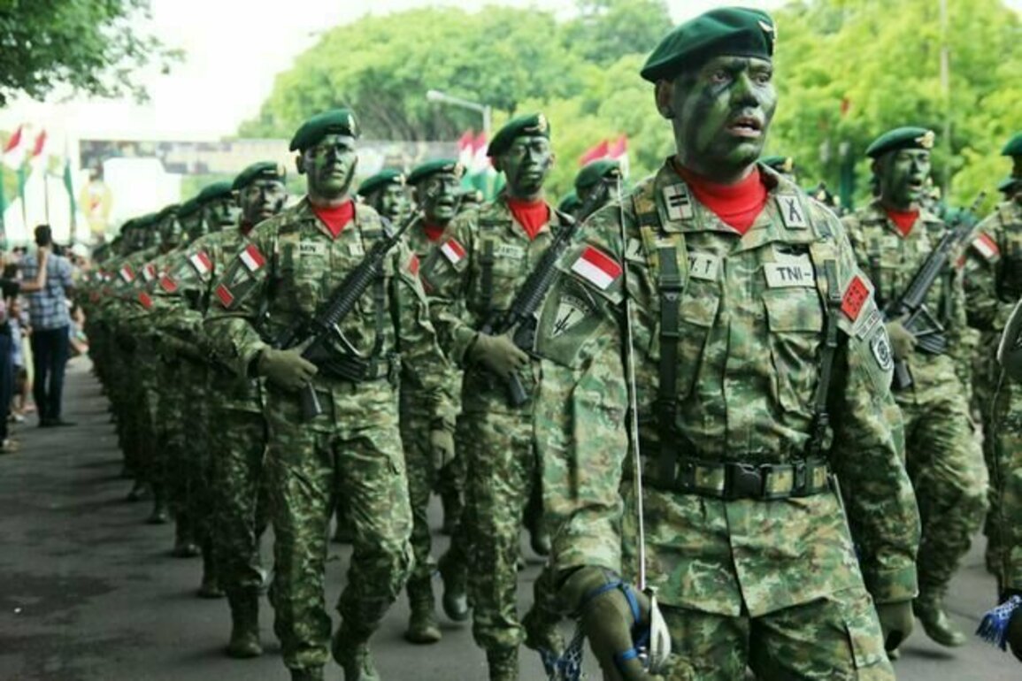 Revisi UU TNI: Modernisasi atau langkah mundur demokrasi?