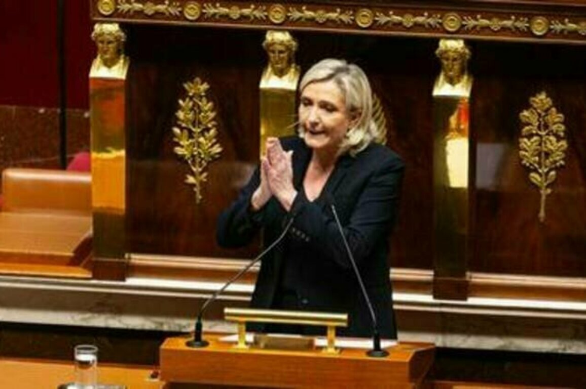 'Free Le Pen' - Trump to France