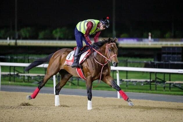 Elite horses gear up for Dubai World Cup night
