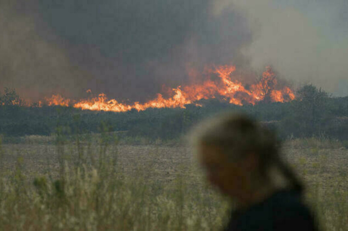 Wildfire in southern France injures two, burns 11,000 hectares