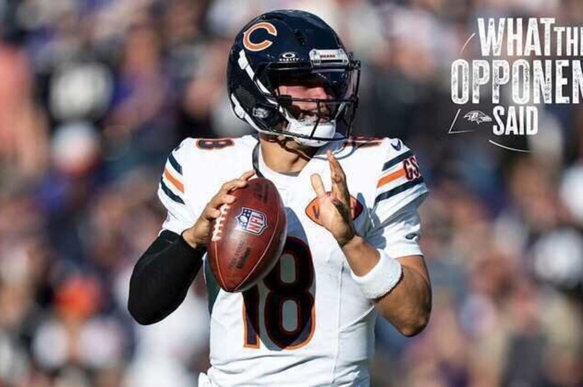 What the Bears Said After Falling to Ravens