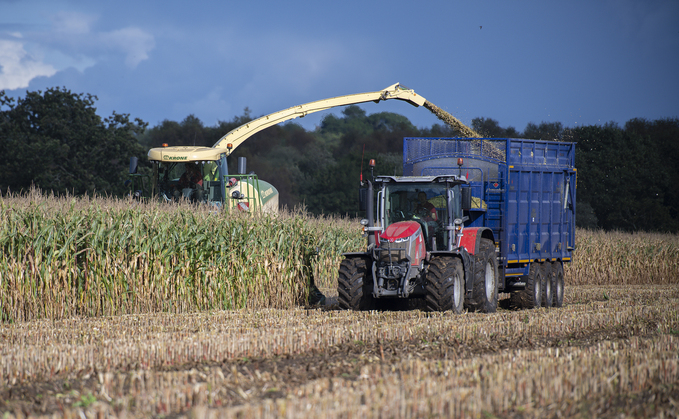Maize harvest results are expected to vary widely this year. Maize harvest results are expected to vary widely this year.