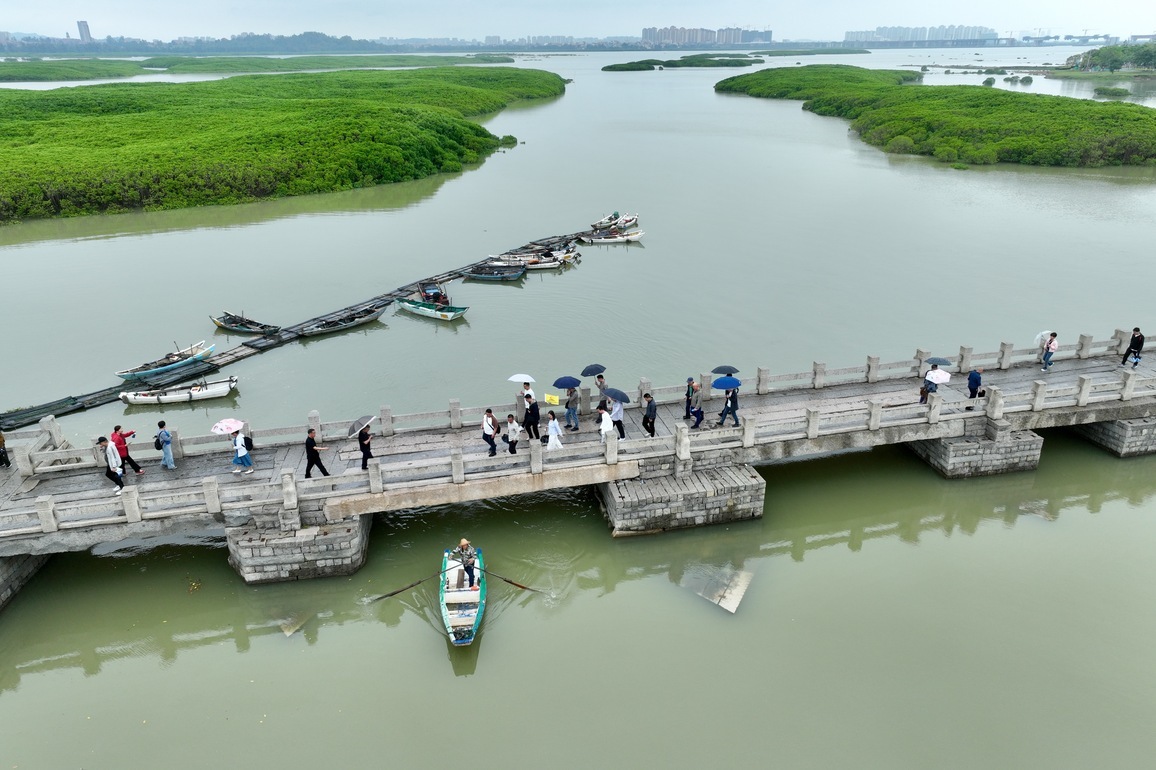 ChineseToday | Guardian protects mangrove forests in southeast China