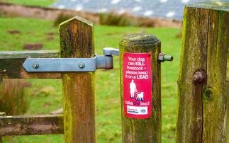 Dog owner to appear in court after livestock worrying incident in Derbyshire