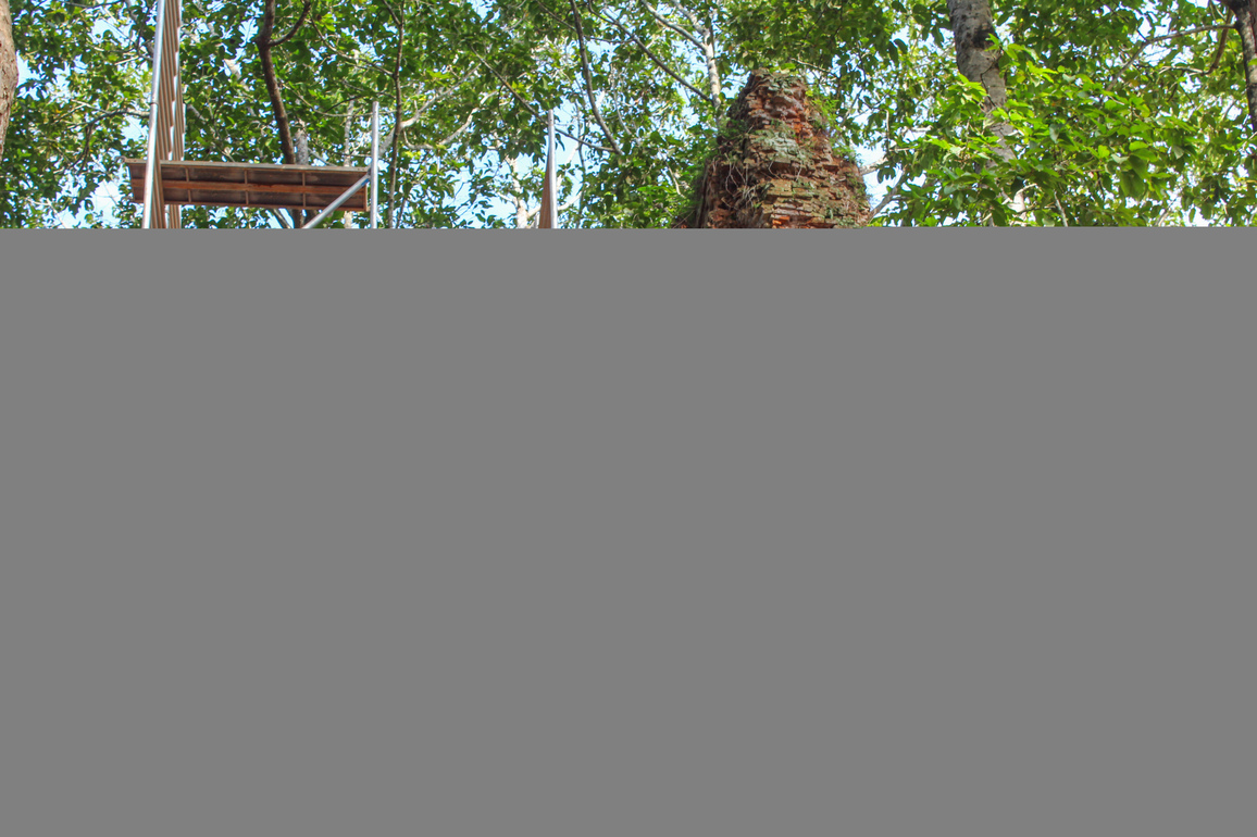 CAMBODIA-SIEM REAP-BAKONG TEMPLE TOWER-RESTORATION