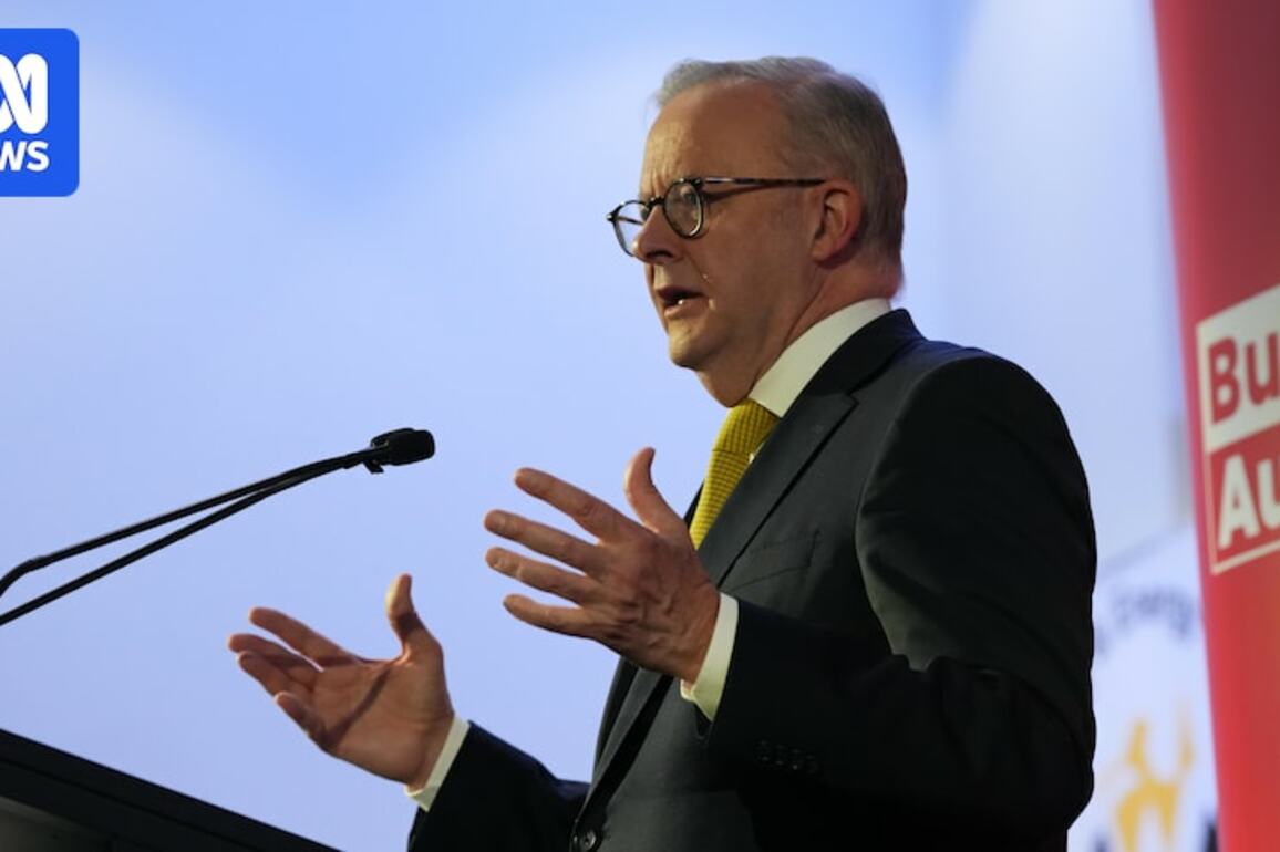 Albanese plans to turn Australia into critical minerals key player in face of Trump's tariffs
