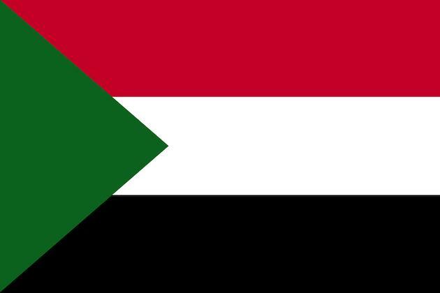 Sudanese army calls on retired soldiers to get arms for self-defense