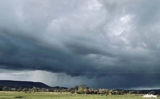 Rain at last helps crops shift up a gear