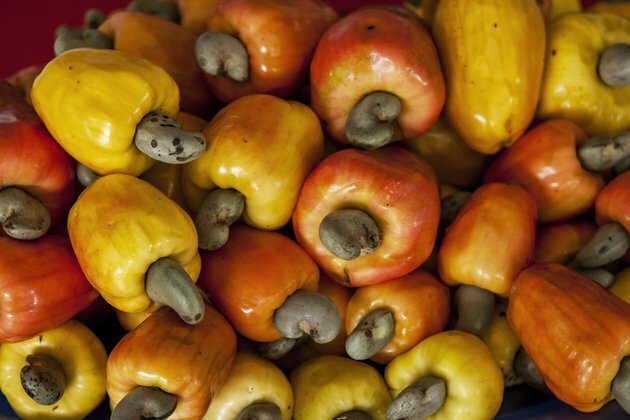 How Nigeria can turn its huge cashew waste into valuable citric acid