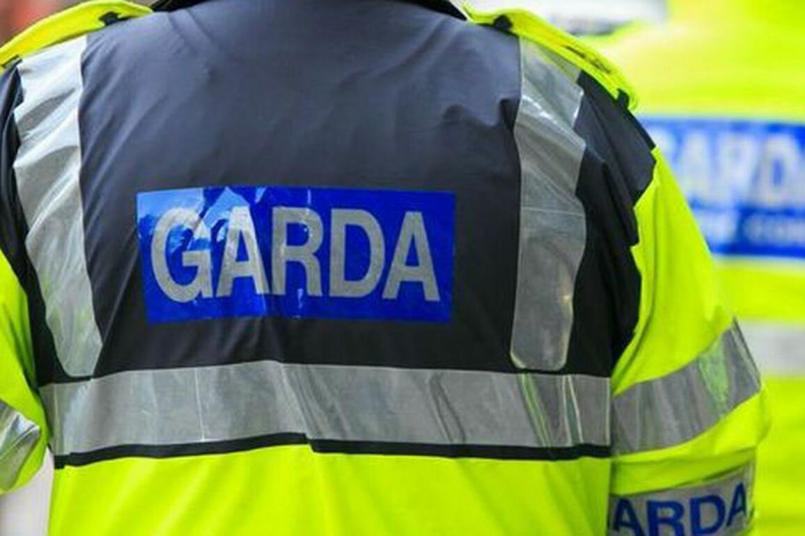 Garda launch investigation after firearm discharged outside Limerick home
