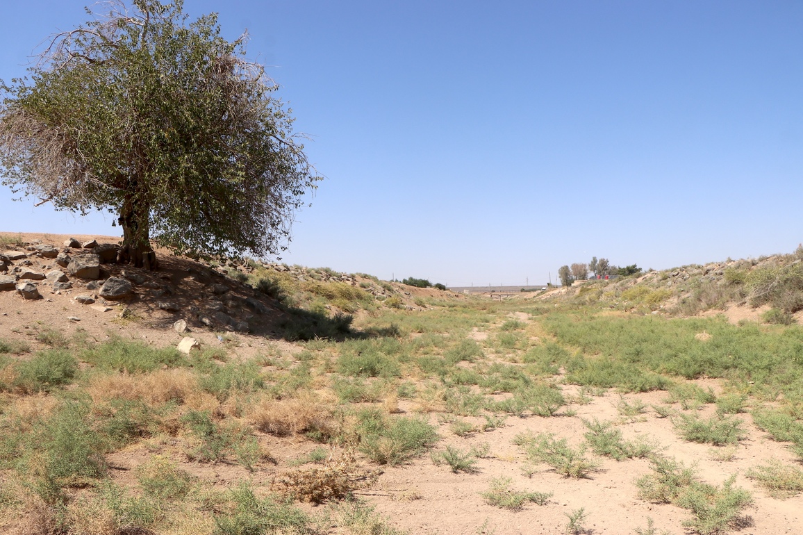 SYRIA-HASAKAH-DROUGHT-STRICKEN LAND