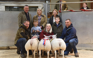 Skipton lamb champions sell for record £900/head