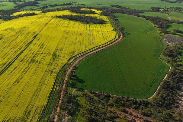 GIWA estimates the WA winter cropping area at 9.39m hectares. 
