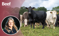 OPINION: Are we breeding out stockmanship from the next generation?