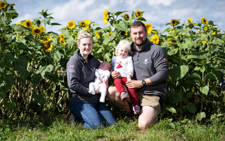 From potatoes and honeyberries to poultry and renewables: Dowell family build resilient farm business