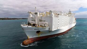 The tipping point for the modern phase of decline of the live sheep export trade arguably began following an incident on the Awassi Express. But who is to blame?