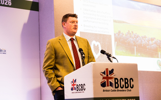British Cattle Breeders Club Conference: Breeding for feed efficiency 