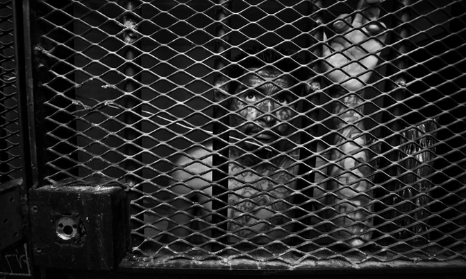 Thirteen killed in Guatemala prison riot: authorities Thirteen killed in Guatemala prison riot: authorities