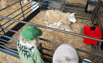 OPINION: "Open the farm gate, muddy the public's trainers and change how they see farming"