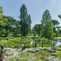 Botanic gardens are struggling to keep up with the biodiversity crisis - here's what they can do