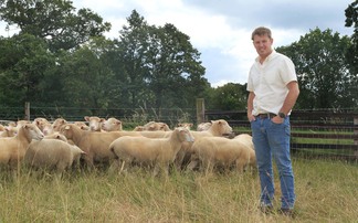 Dorset sheep play crucial role within an intensive vegetable rotation