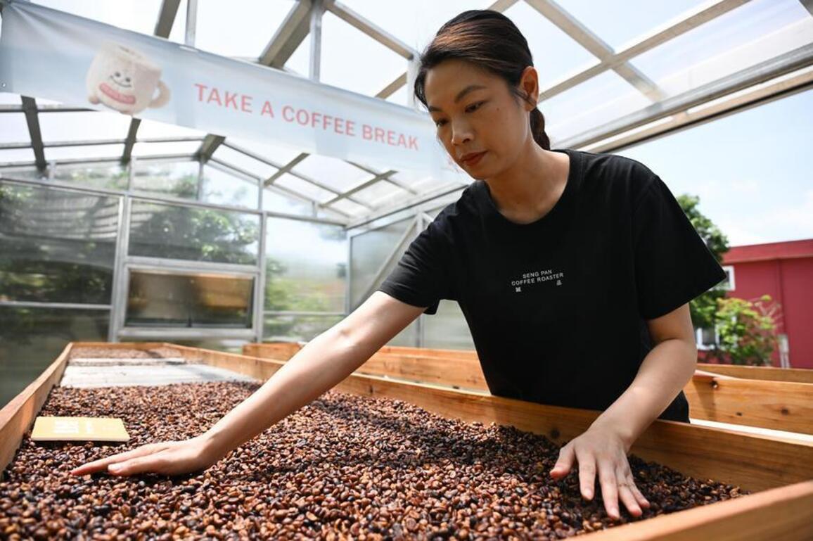 Economy | Complete coffee industrial chain thrives in S China's Jiangmen