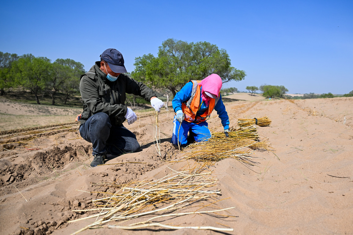 CHINA-INNER MONGOLIA-SAND CONTROL (CN)