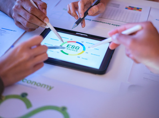 FMs making 'incremental' progress on ESG integration