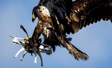 Eye in the sky for grazing operations