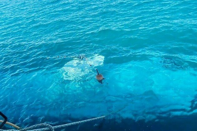 Six Russian tourists killed in Egypt submarine sinking