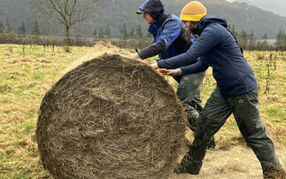 The Farmers Guardian podcast: Bale grazing can offer livestock farmers a host of benefits but requires careful planning 