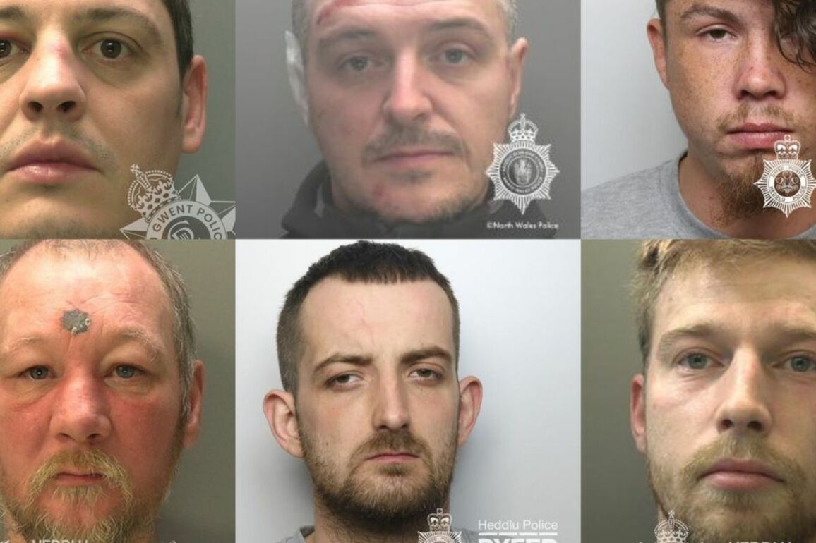 The violent thugs who thought they could get away with attacking police officers