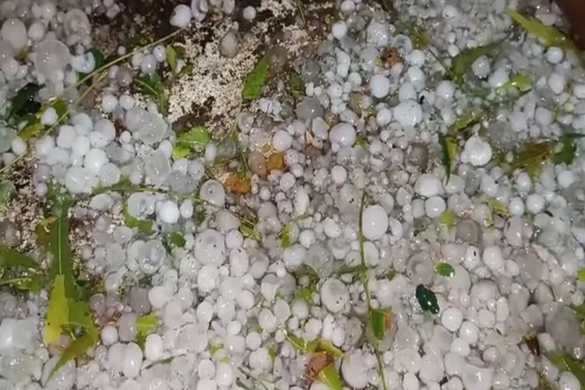 Western disturbance brings rain, snowfall to Western Himalayas; isolated heavy falls and hailstorms expected today