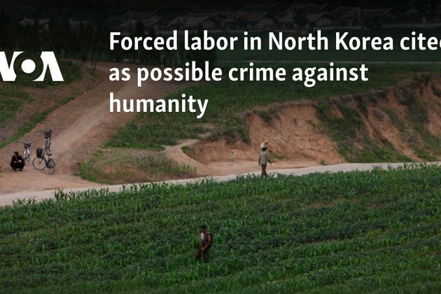 Forced labor in North Korea cited as possible crime against humanity