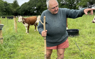 What are the long-term benefits of herbal leys?