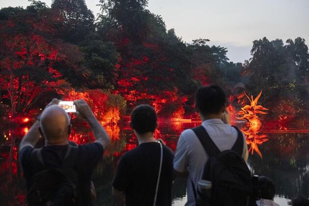 Asia Album: Highlights of light show in Singapore