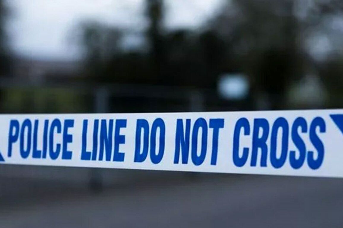 Detectives Investigate Suspected Arson On Lecky Road  03-06-2025