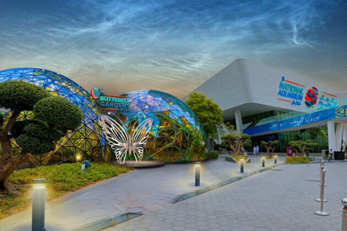 Butterfly Gardens Abu Dhabi set to open in September 2025
