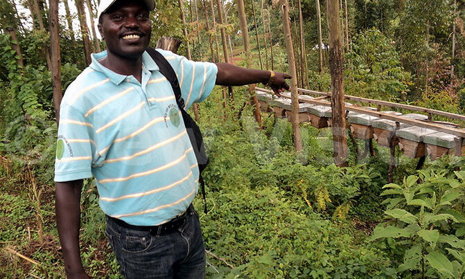 He did not waste time walking Kampala streets for a job He did not waste time walking Kampala streets for a job